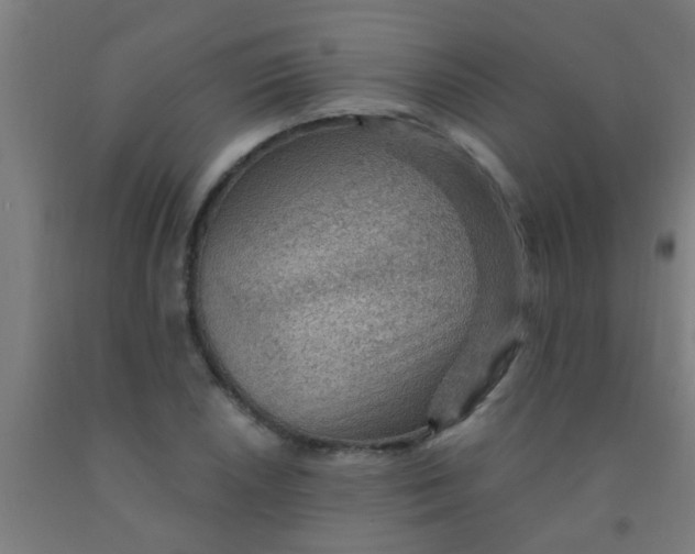 X0000092031026200709271605