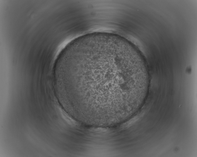 X0000092031027200709271605