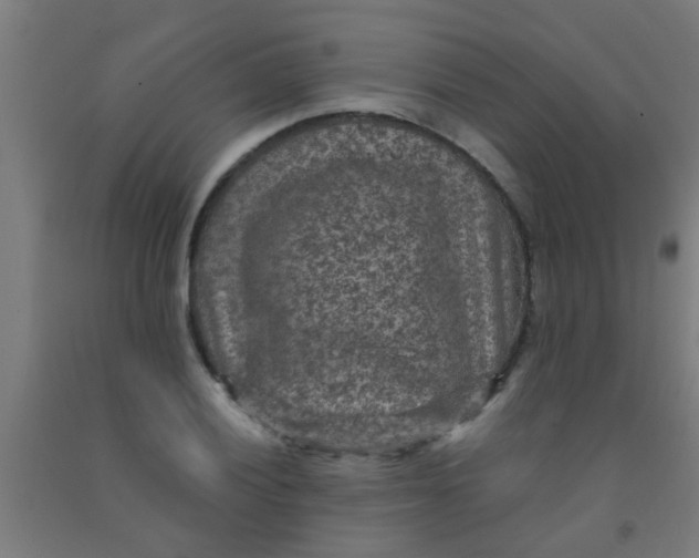 X0000092031028200709271605