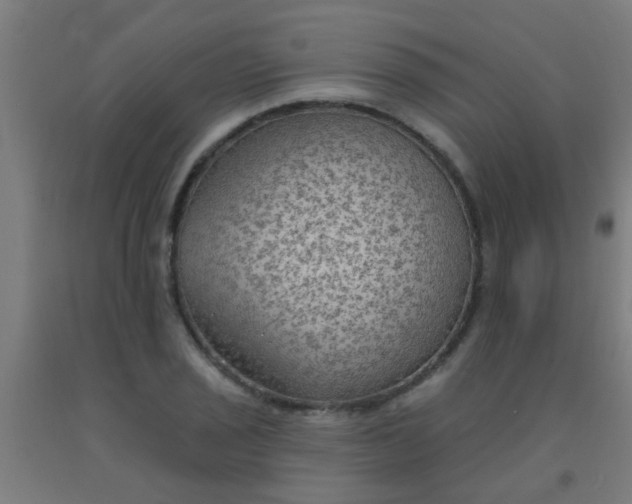 X0000092031029200709271605