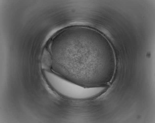 X0000092031030200709271605