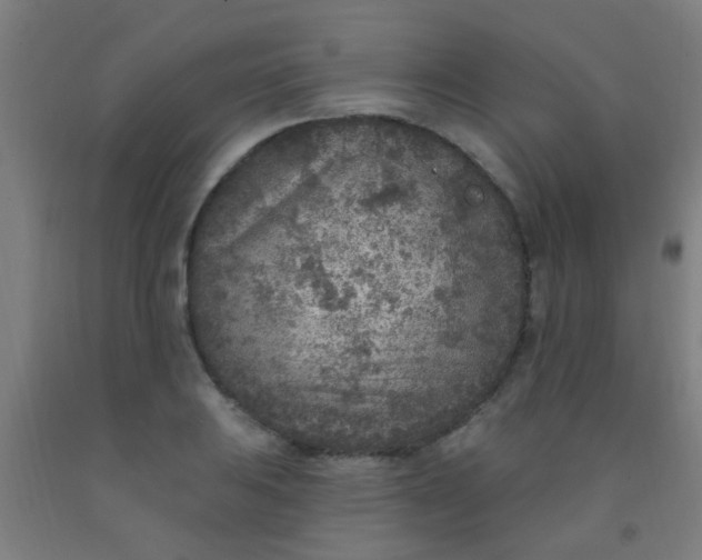 X0000092031031200709271605