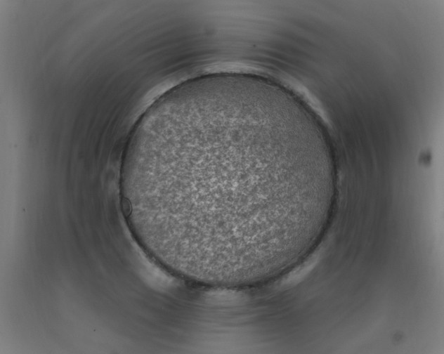 X0000092031033200709271605