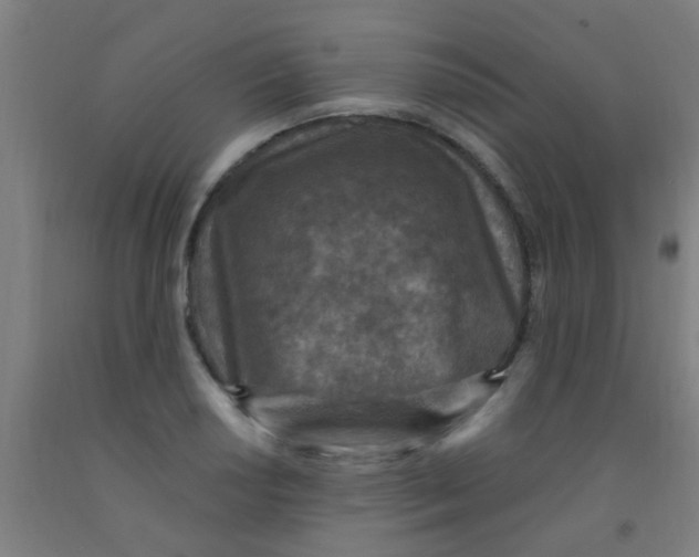 X0000092031034200709271605