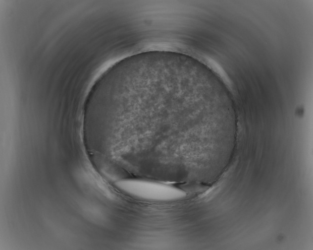 X0000092031035200709271605