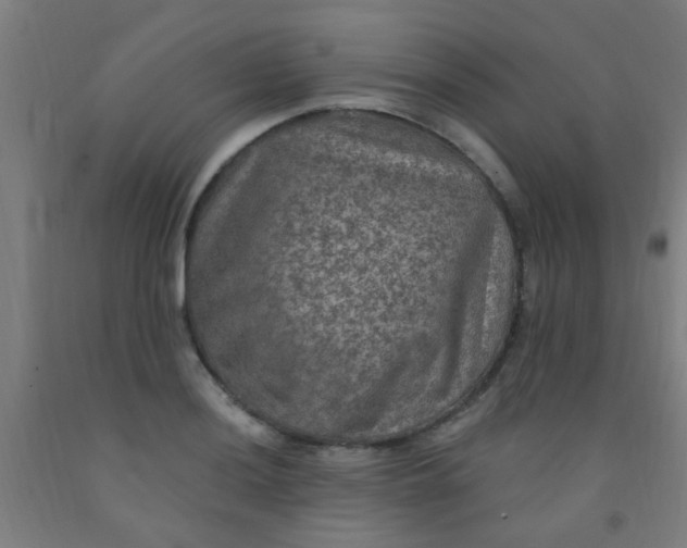 X0000092031036200709271605