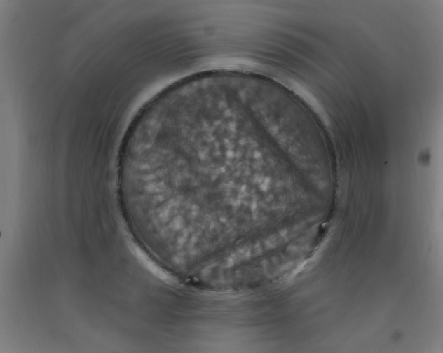 X0000092031037200709271605