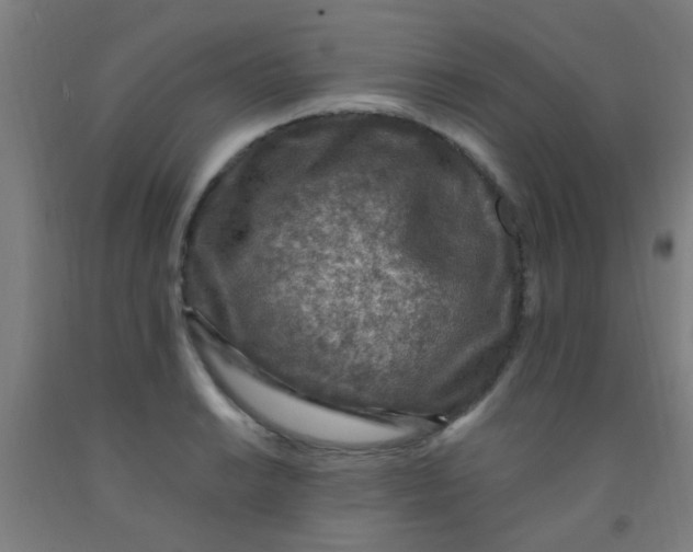 X0000092031038200709271605