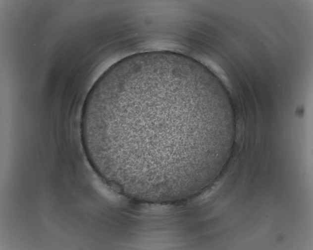 X0000092031039200709271605