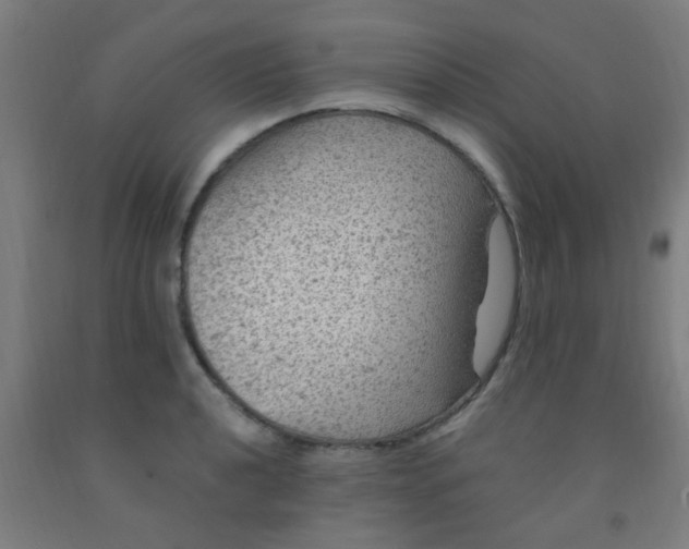 X0000092031040200709271605