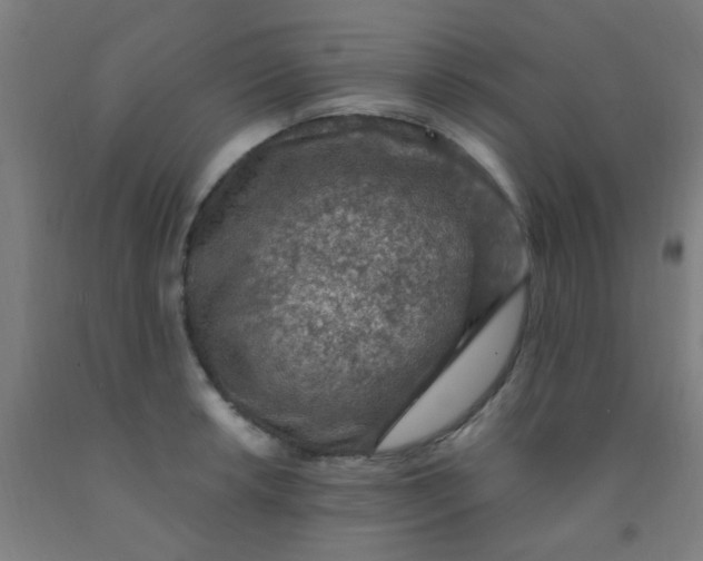 X0000092031042200709271605