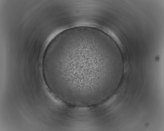 X0000092031043200709271605