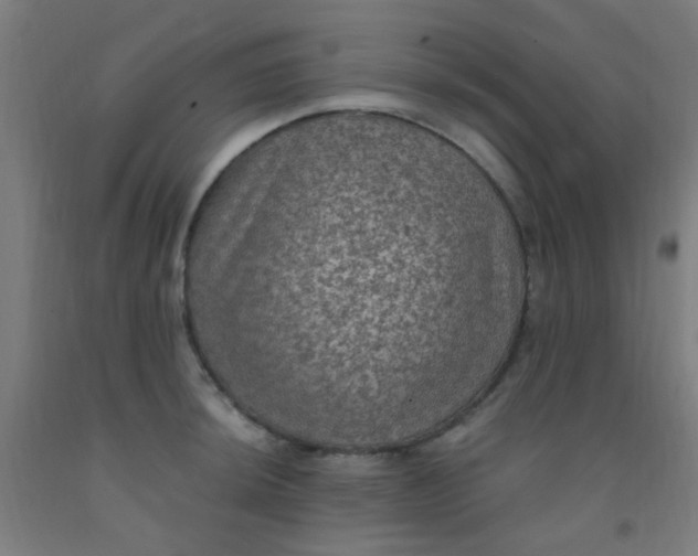 X0000092031044200709271605