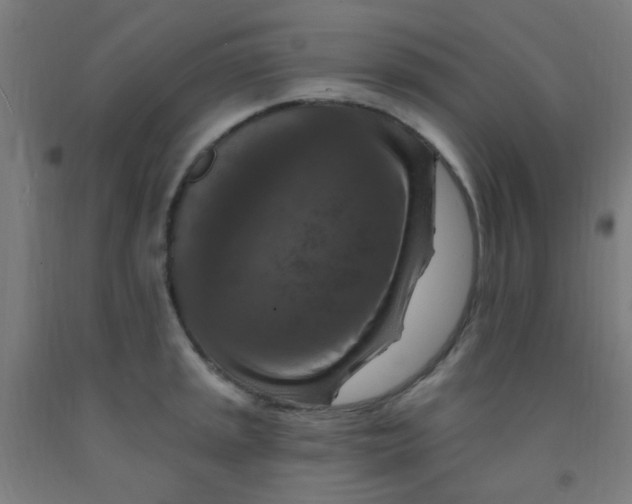 X0000092031045200709271605