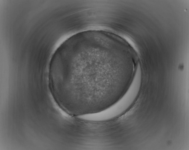 X0000092031046200709271605