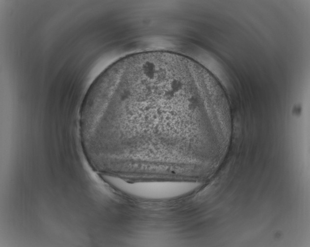 X0000092031047200709271605