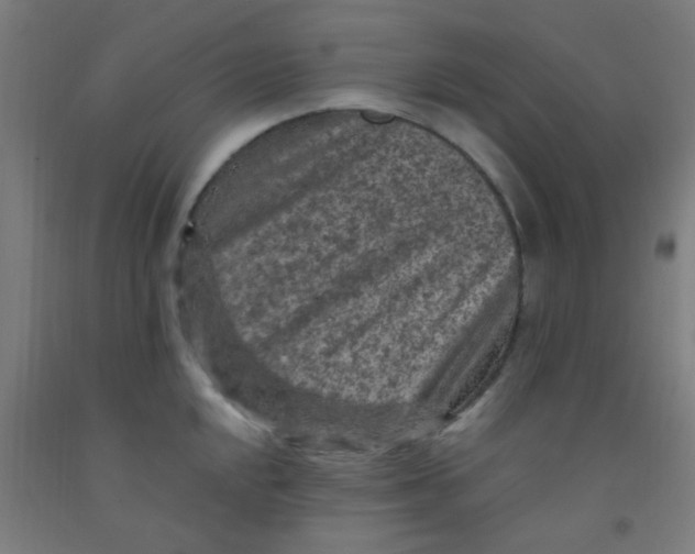 X0000092031048200709271605