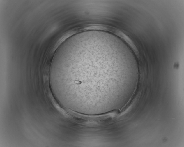 X0000092031049200709271605