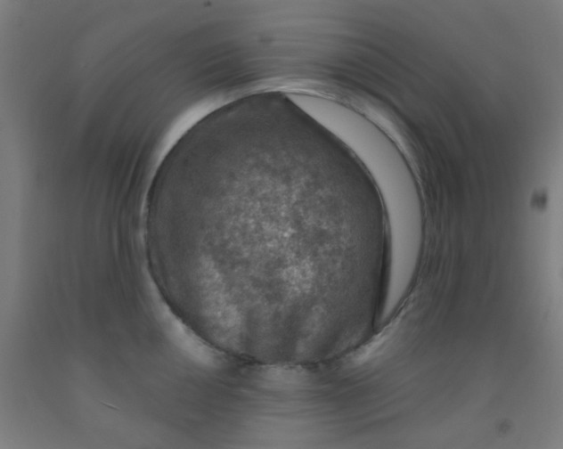 X0000092031050200709271605