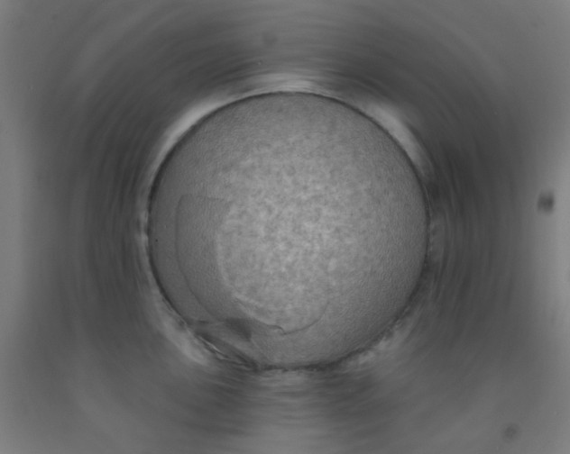 X0000092031051200709271605