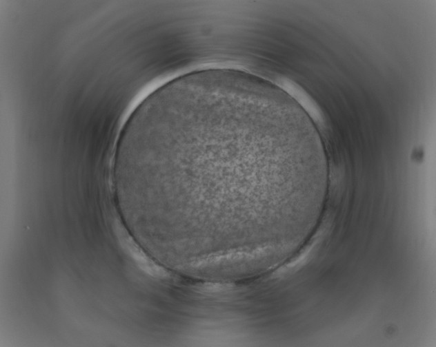 X0000092031052200709271605