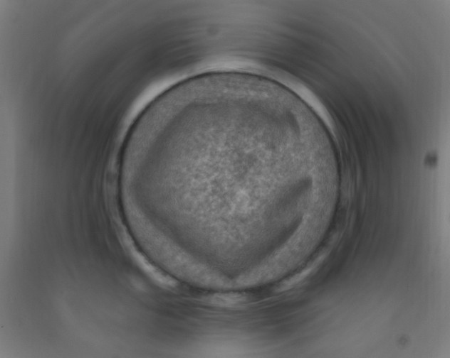 X0000092031053200709271605