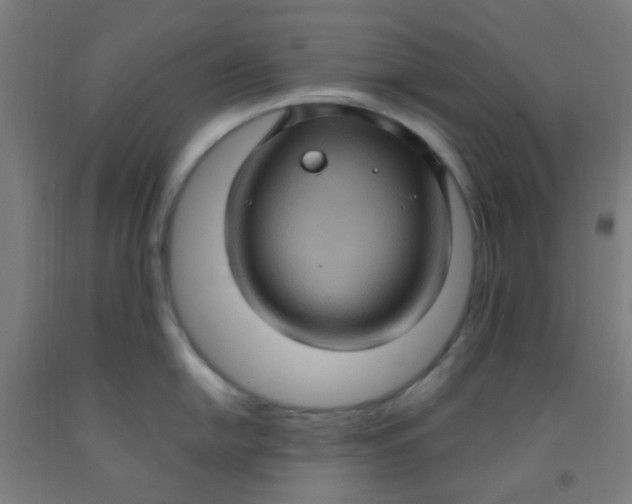 X0000092031054200709271605