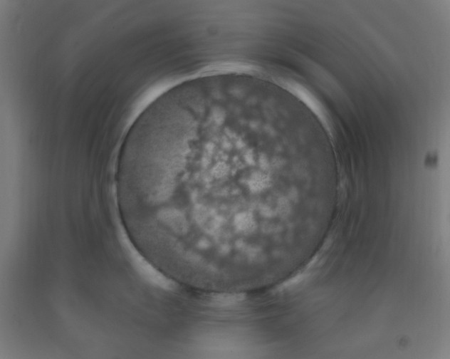 X0000092031055200709271605