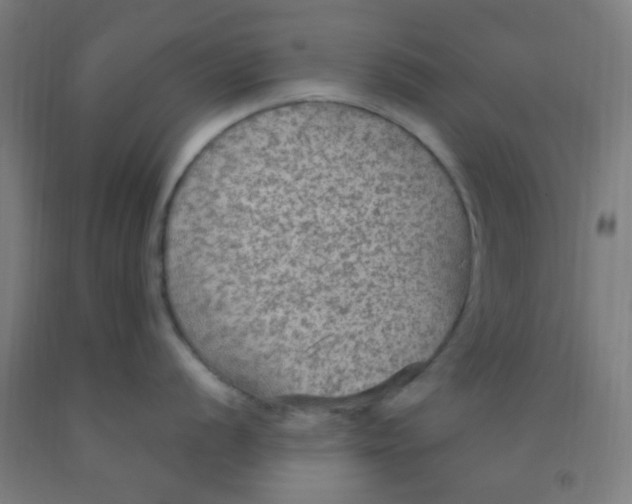 X0000092031056200709271605