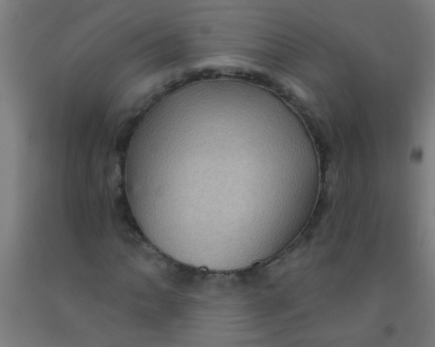 X0000092031062200709271605