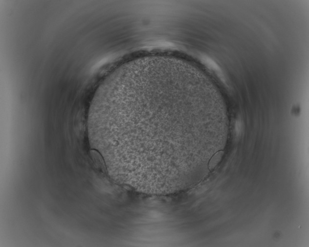 X0000092031063200709271605