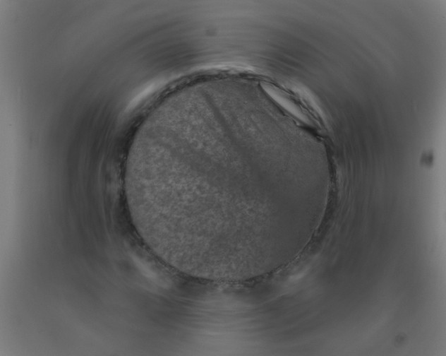 X0000092031064200709271605