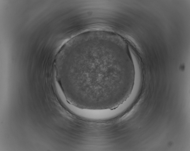 X0000092031065200709271605