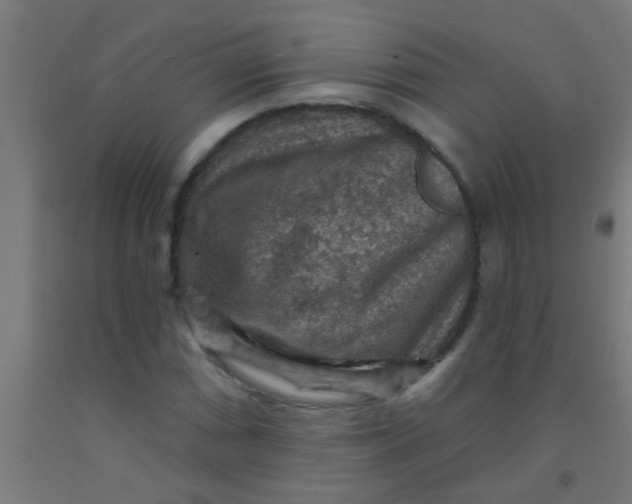 X0000092031066200709271605