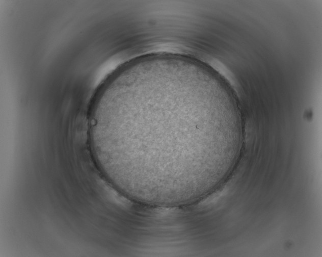 X0000092031067200709271605