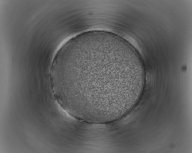 X0000092031068200709271605