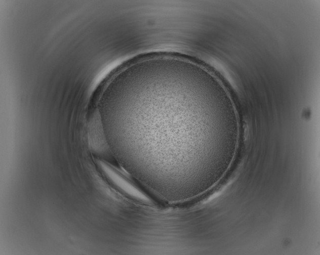 X0000092031069200709271605