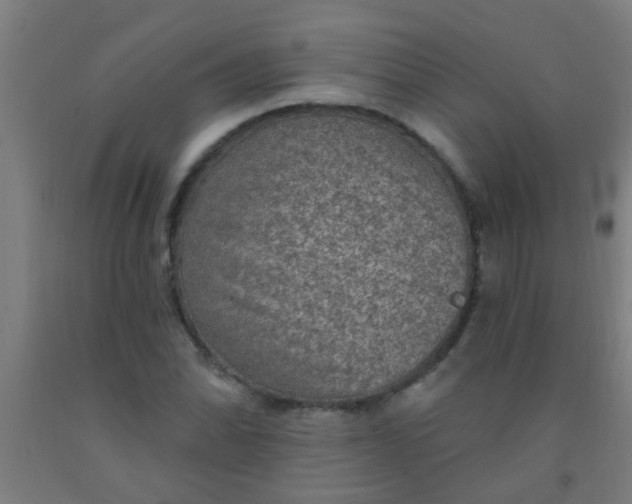 X0000092031070200709271605