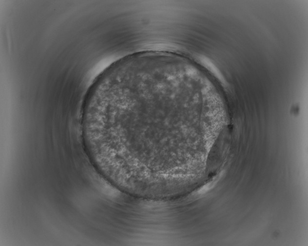 X0000092031071200709271605