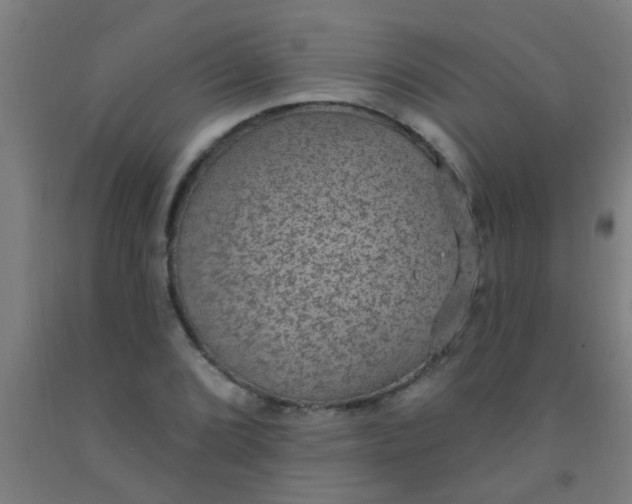 X0000092031072200709271605