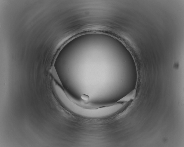 X0000092031073200709271605