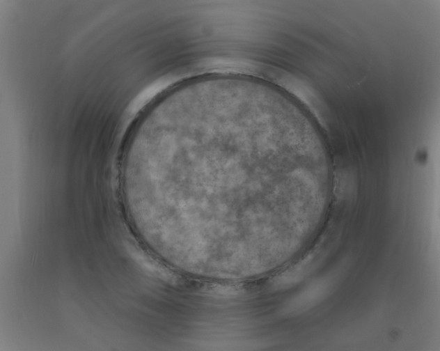 X0000092031074200709271605