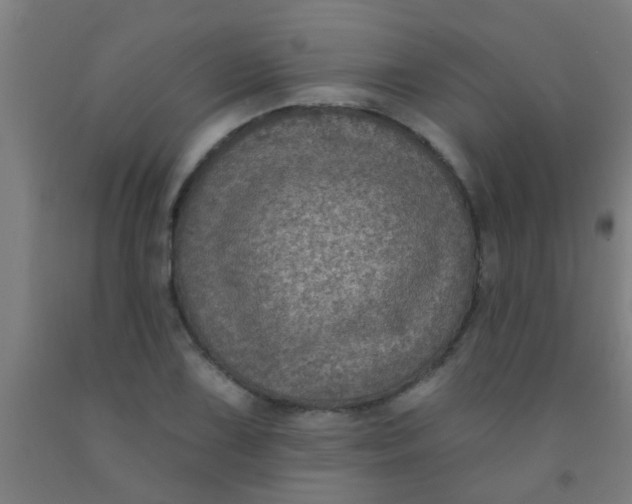 X0000092031075200709271605