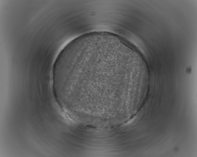 X0000092031076200709271605