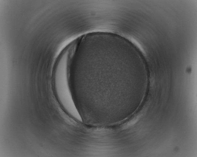 X0000092031077200709271605