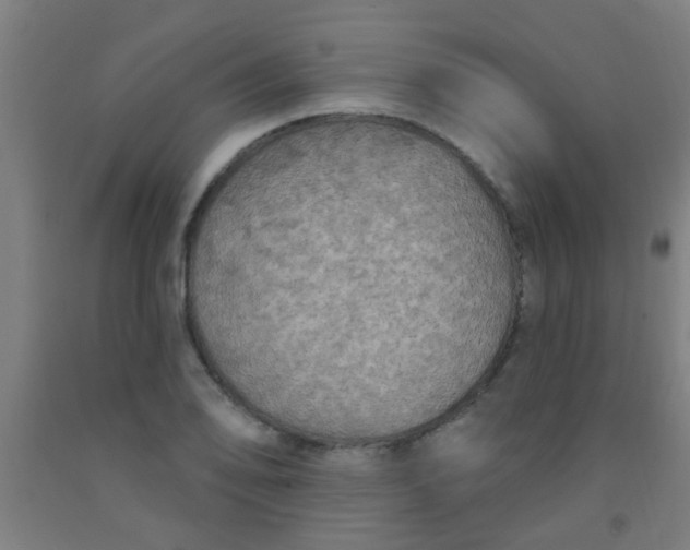 X0000092031078200709271605