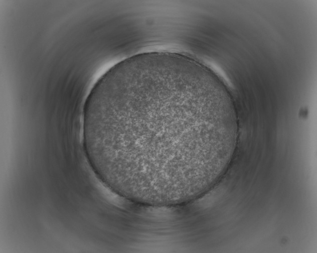 X0000092031079200709271605