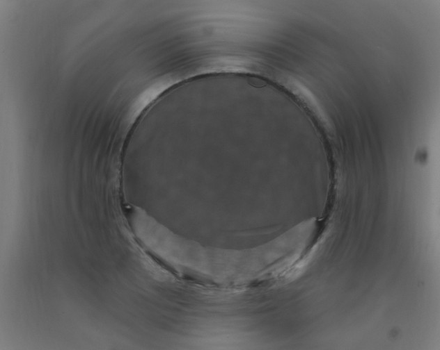 X0000092031081200709271604