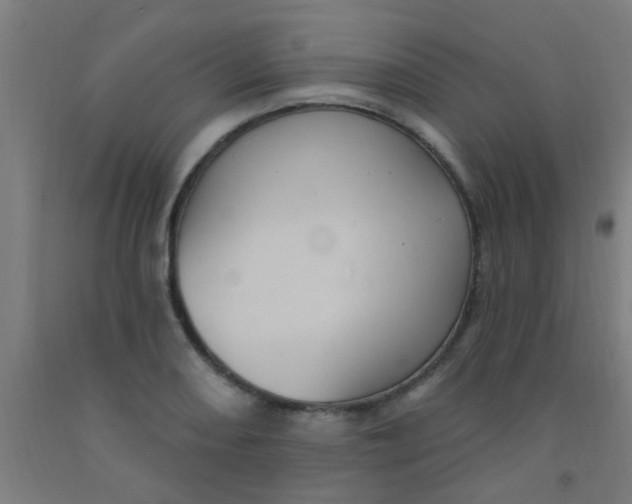 X0000092031082200709271604