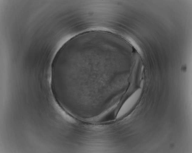 X0000092031084200709271604